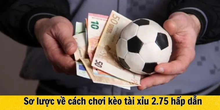 Hướng Dẫn Cách Chơi Kèo 2.75 Trong Bóng Đá 2 Hướng Dẫn Cách Chơi Kèo 2.75 Trong Bóng Đá