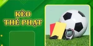 Cách Chơi Kèo Thẻ Phạt Chuyên Nghiệp Dựa Trên Thống Kê Trọng Tài