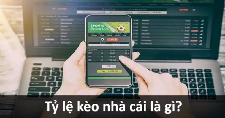 Hướng Dẫn Kèo Bóng Đá Chi Tiết Dành Cho Người Hâm Mộ