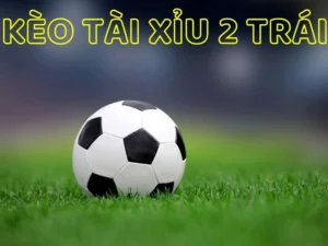 Bí Quyết Cách Chơi Kèo Tài Xỉu Bóng Đá Luôn Thắng Cho Người Mới