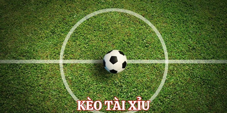 Bí Quyết Cách Chơi Kèo Tài Xỉu Bóng Đá Luôn Thắng Cho Người Mới